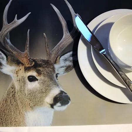 Willert Appartement *